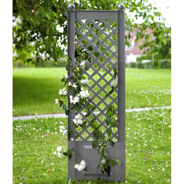 Garten Living Spalier | Wayfair.de